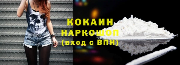мет Щигры
