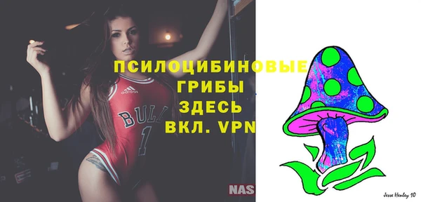крисы Щёлкино