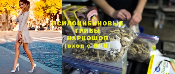 мет Щигры